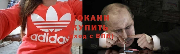 крисы Апатиты