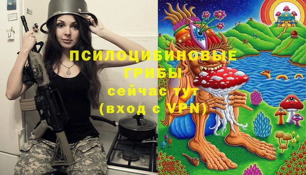 ПСИЛОЦИБИНОВЫЕ ГРИБЫ Нея