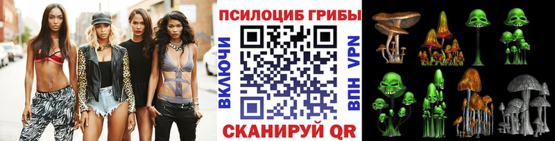 купить закладку Монино Галлюциногенные грибы Psilocybe